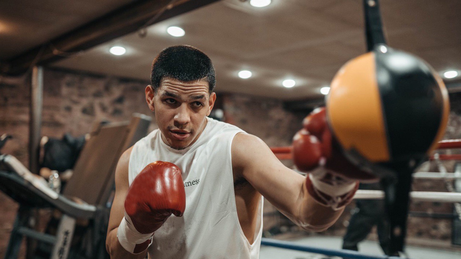 Boxing Is Back