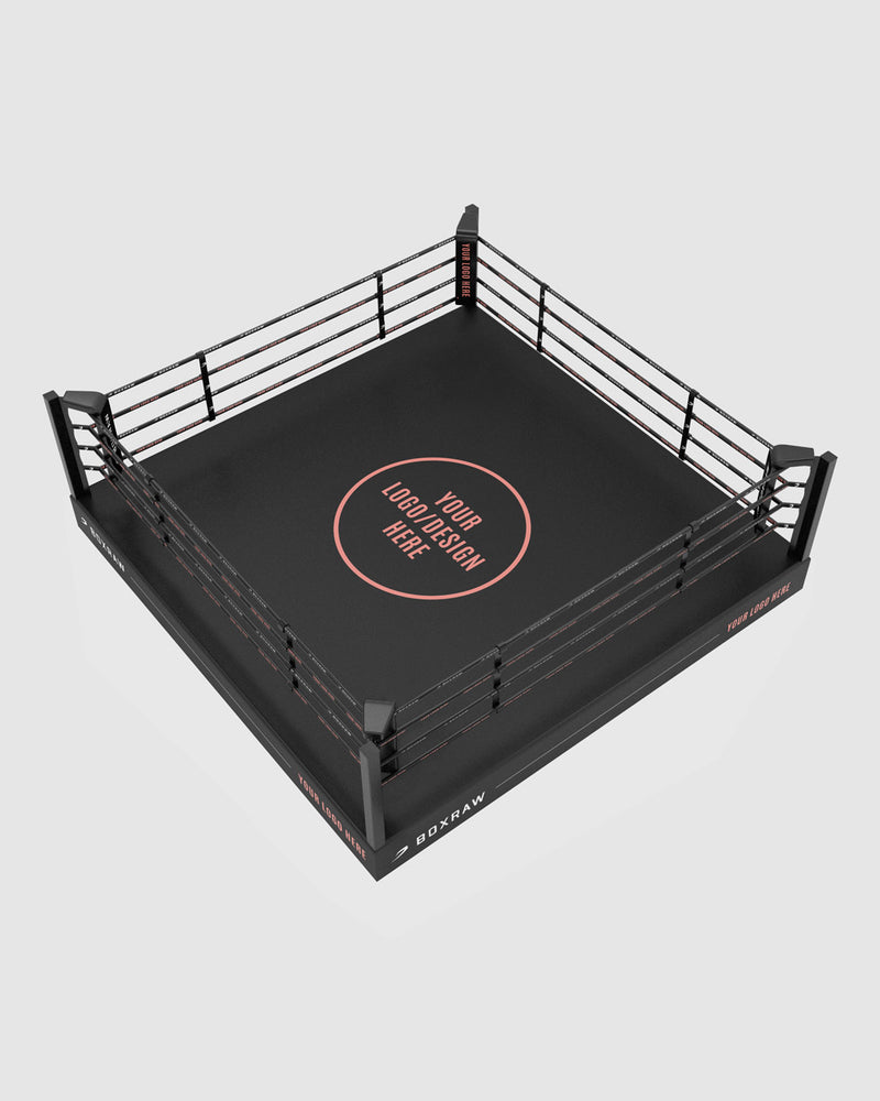 Workout Rings Boxing BOXRAW 12